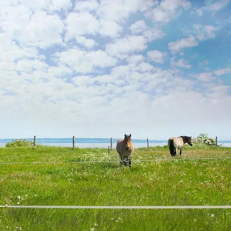 Freya Haus - Terrasse, Garten, Meerblick Feriehus